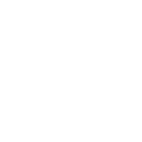 Ayrton Alexis Logo